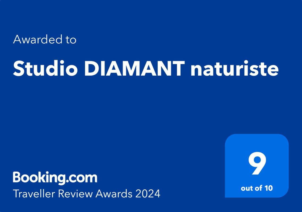 Studio Diamant Naturiste 아그 외부 사진